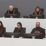 Photo of the Panel at the hearing
